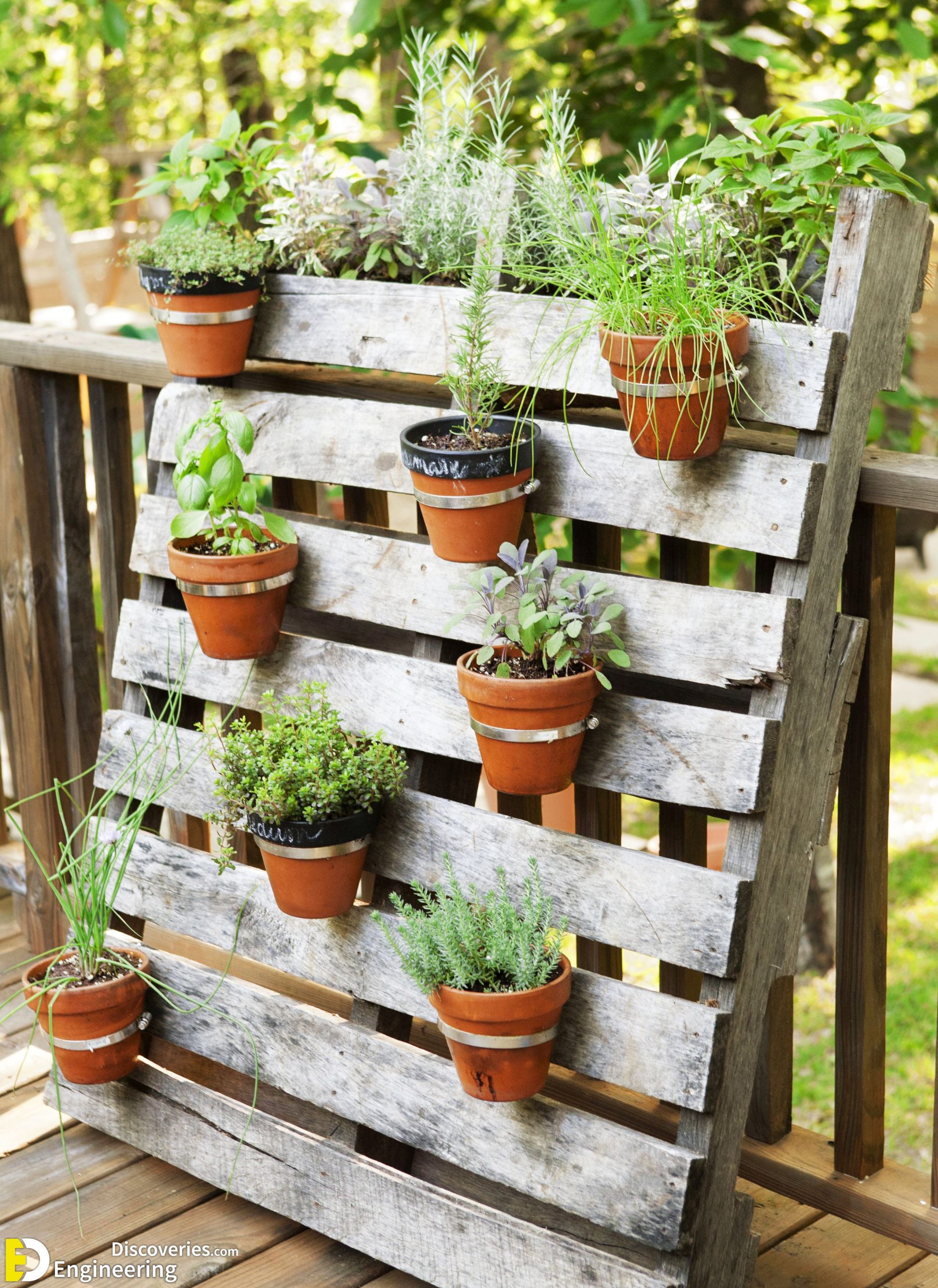 21-engineering-discoveries-secrets-to-stunning-gardens-creative-decoration-ideas-that-wow-scaled.jpg