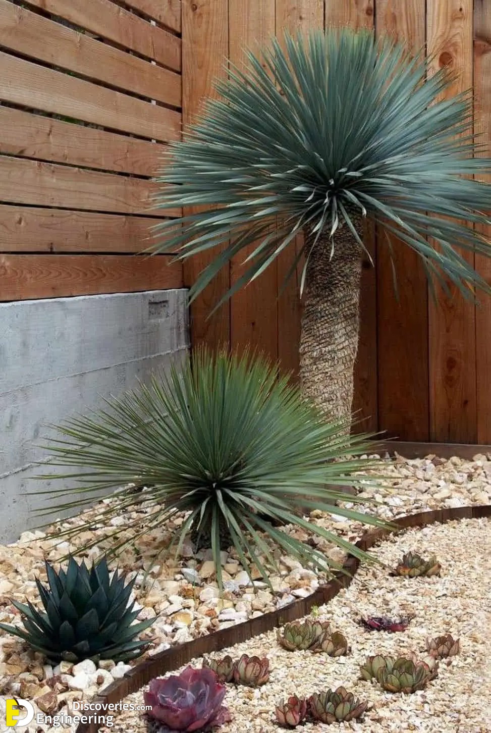 25-engineering-discoveries-secrets-to-stunning-gardens-creative-decoration-ideas-that-wow.jpg