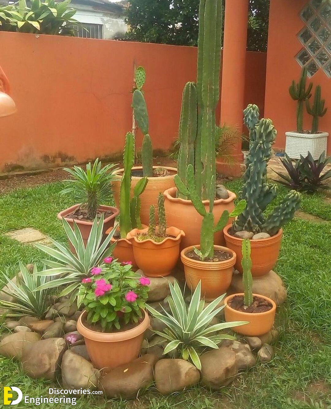 3-engineering-discoveries-secrets-to-stunning-gardens-creative-decoration-ideas-that-wow.jpg