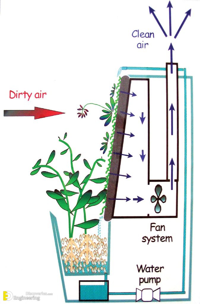 4-engineering-discoveries-vertical-garden-systems-and8211-green-wall-details.jpg