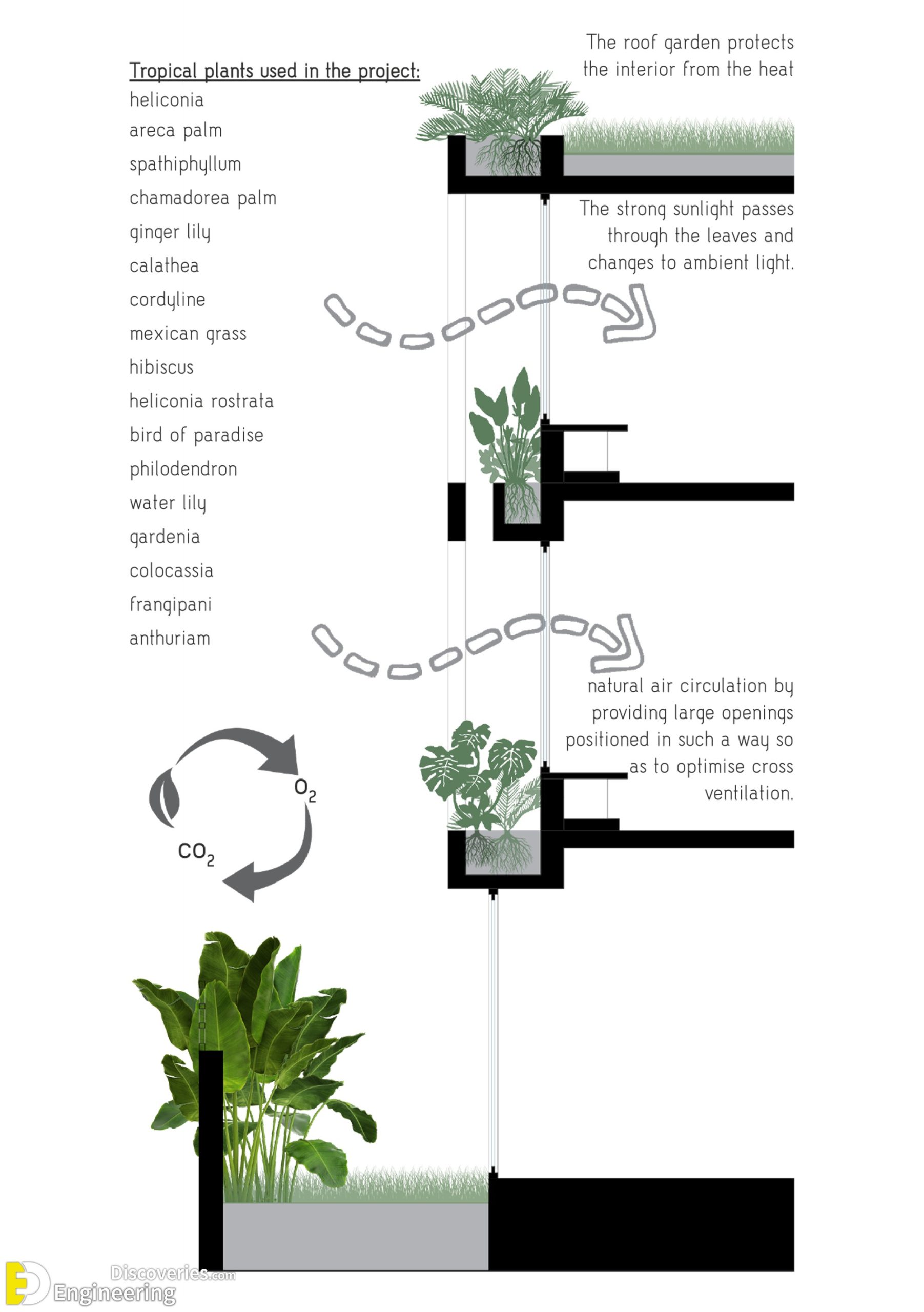 7-engineering-discoveries-vertical-garden-systems-and8211-green-wall-details-scaled.jpg