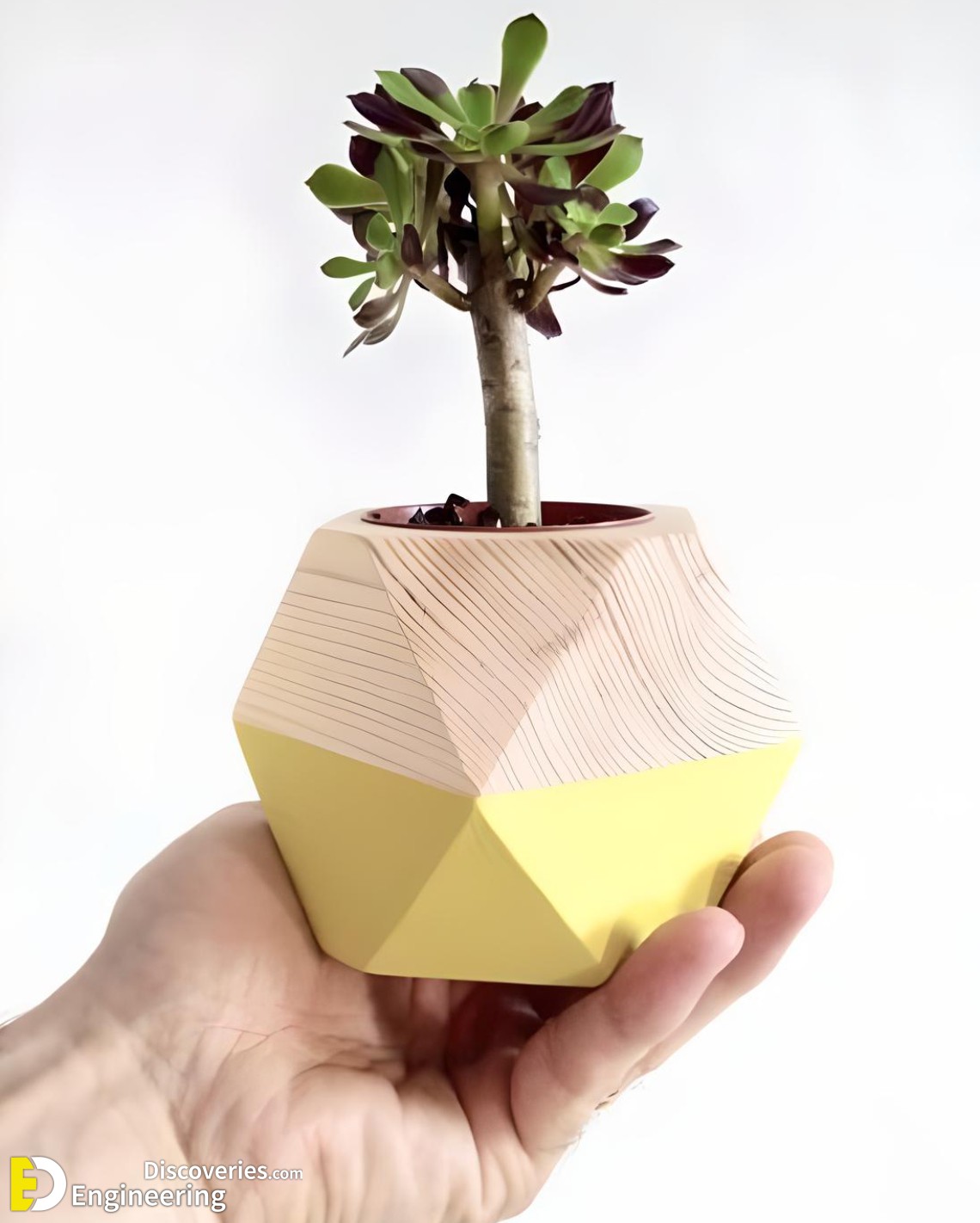 10-engineering-discoveries-amazing-wood-plant-stands-for-indoor-plants.jpg