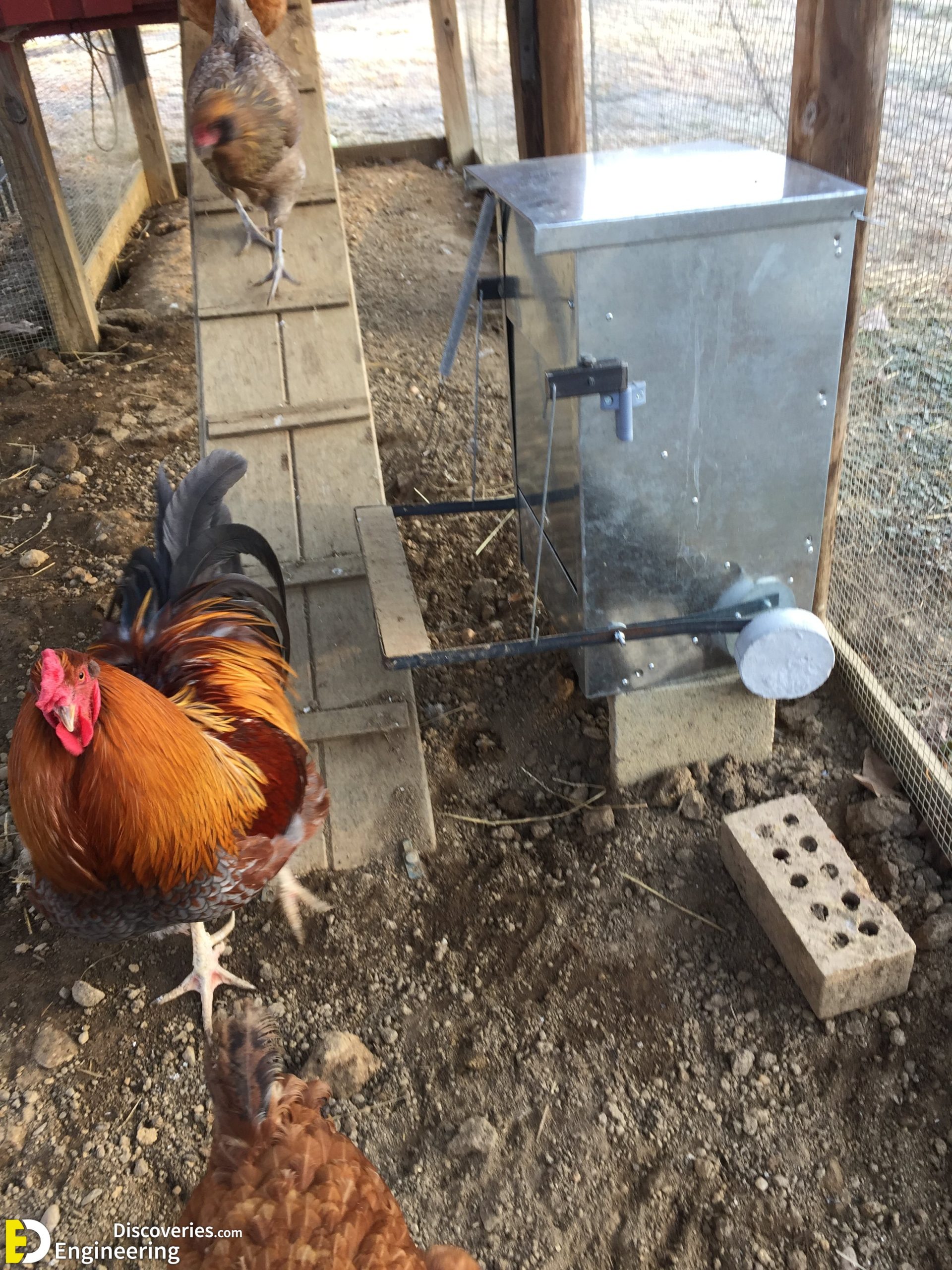 13-engineering-discoveries-diy-pvc-chicken-feeders-an-affordable-and-efficient-chicken-coop-solution-scaled.jpg