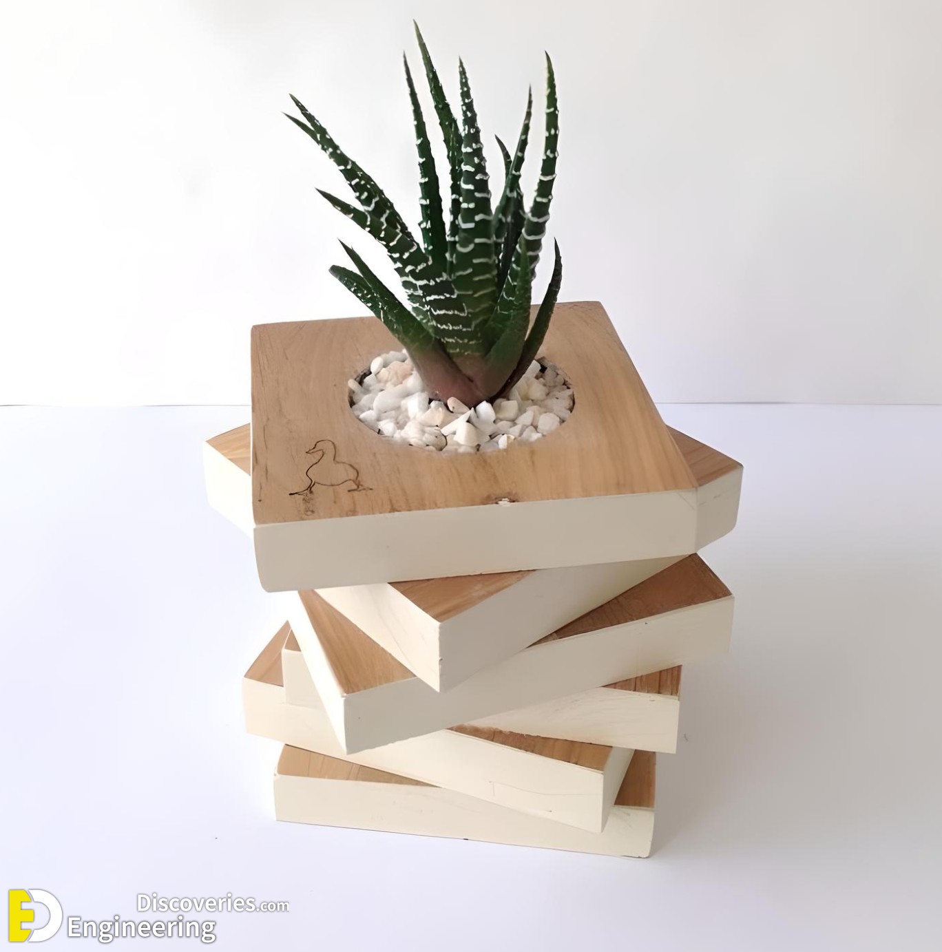 14-engineering-discoveries-amazing-wood-plant-stands-for-indoor-plants.jpg