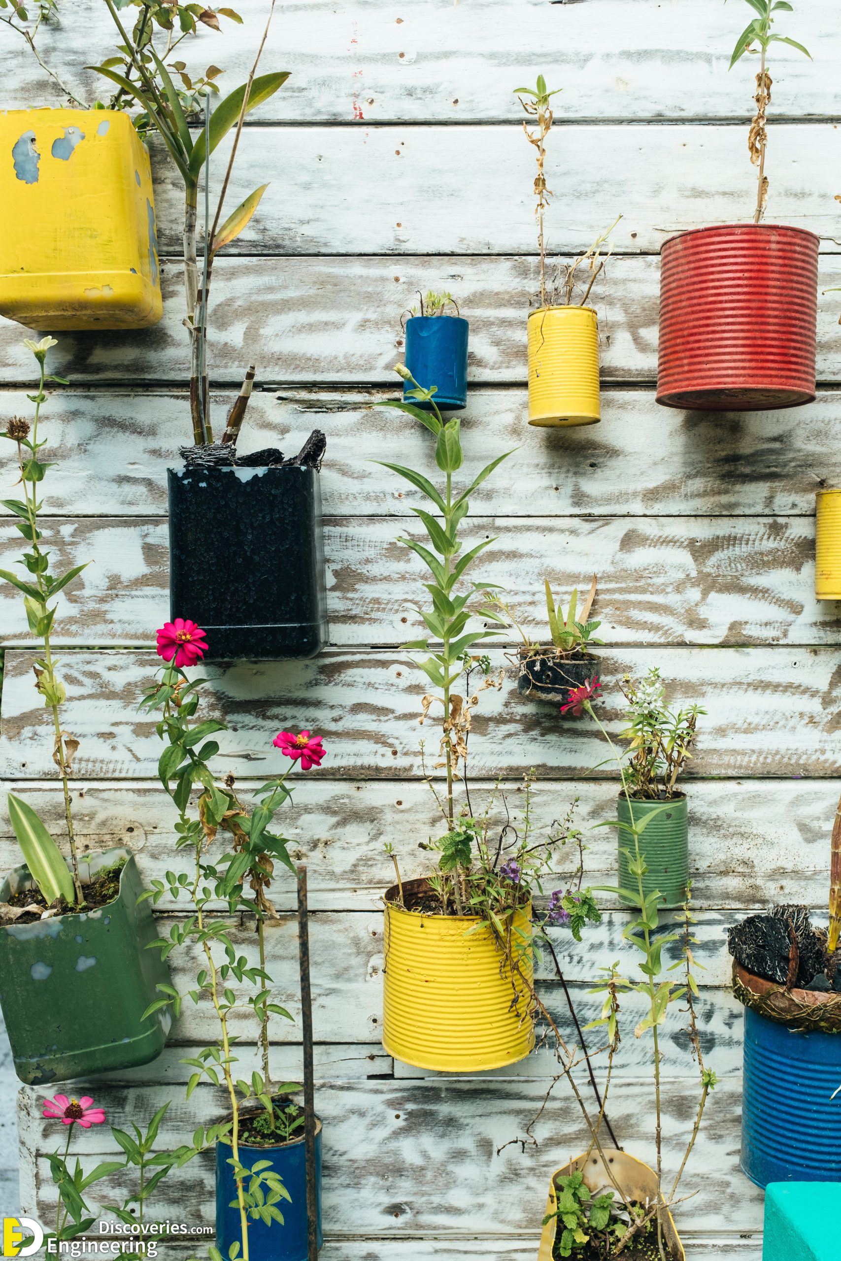 Upcycled Can Planters  Bonterra Organic Vineyards