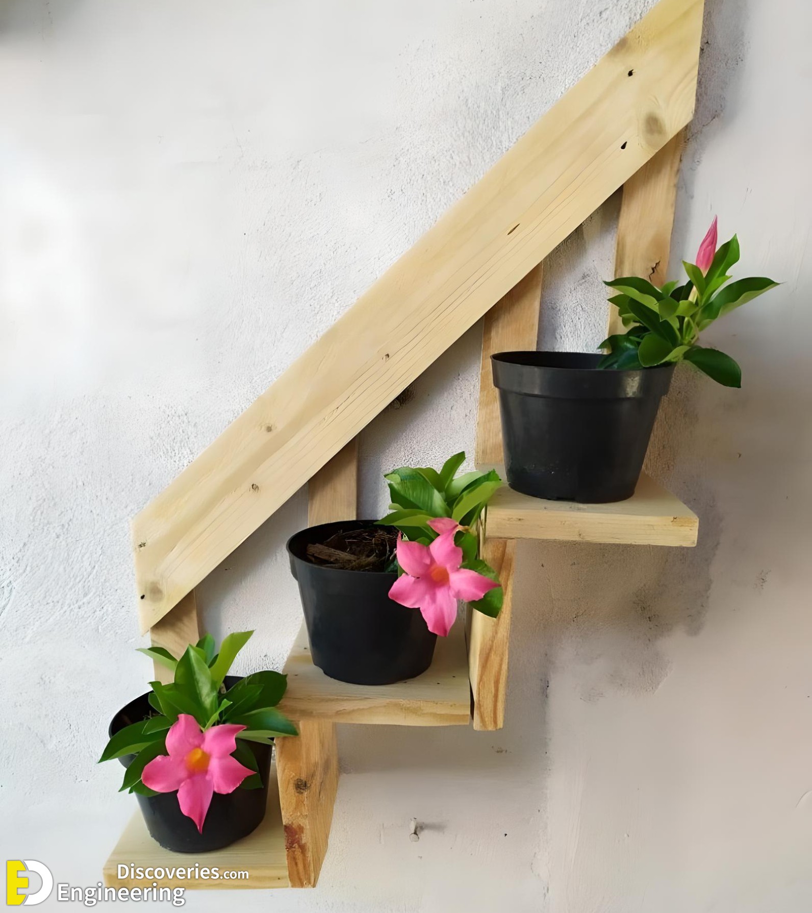 18-engineering-discoveries-amazing-wood-plant-stands-for-indoor-plants.jpg