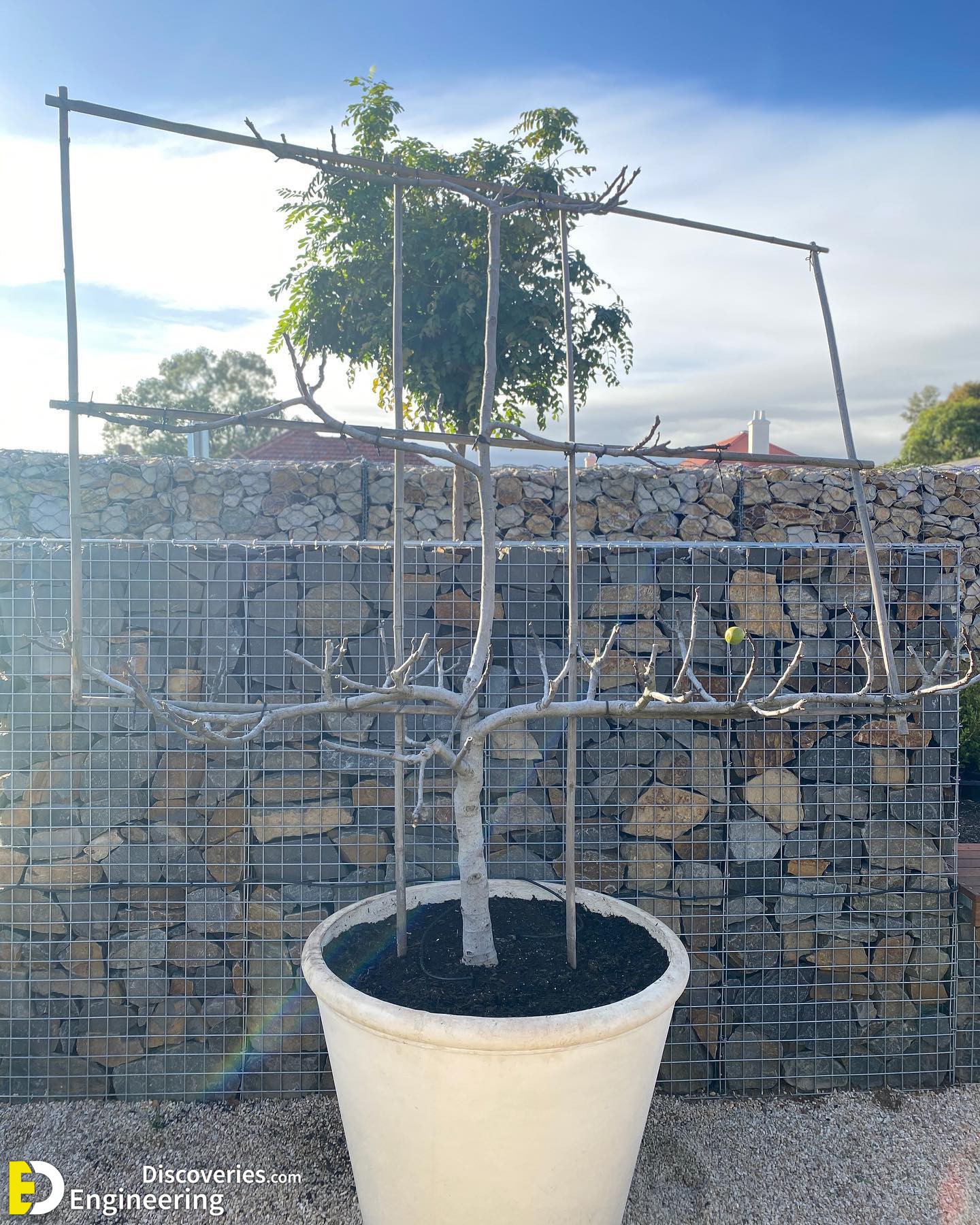 19-engineering-discoveries-building-beauty-transform-your-space-with-gabion-wall-projects.jpg