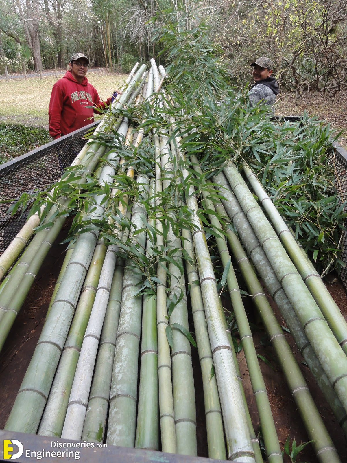 19-engineering-discoveries-building-with-bamboo-322B-images-showcasing-bambooand8217s-role-in-modern-construction.jpg
