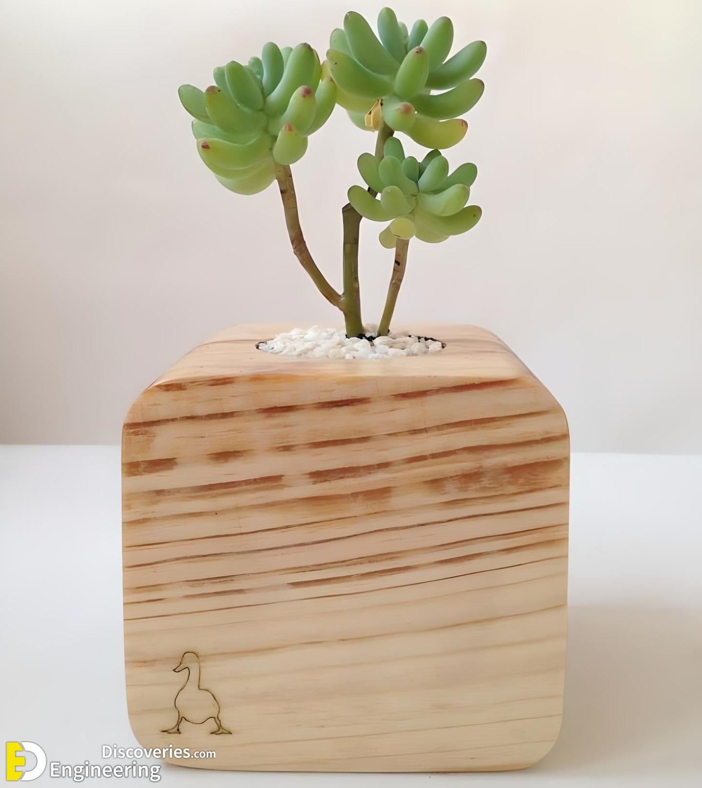 26-engineering-discoveries-amazing-wood-plant-stands-for-indoor-plants.jpg