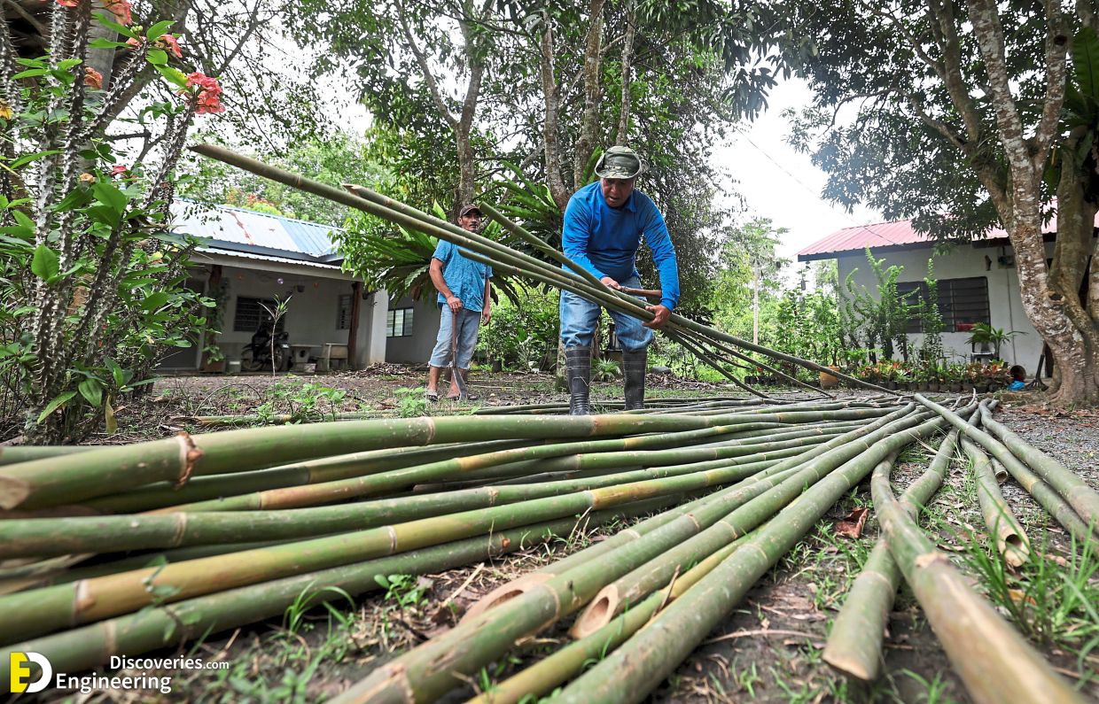 29-engineering-discoveries-building-with-bamboo-322B-images-showcasing-bambooand8217s-role-in-modern-construction.jpg