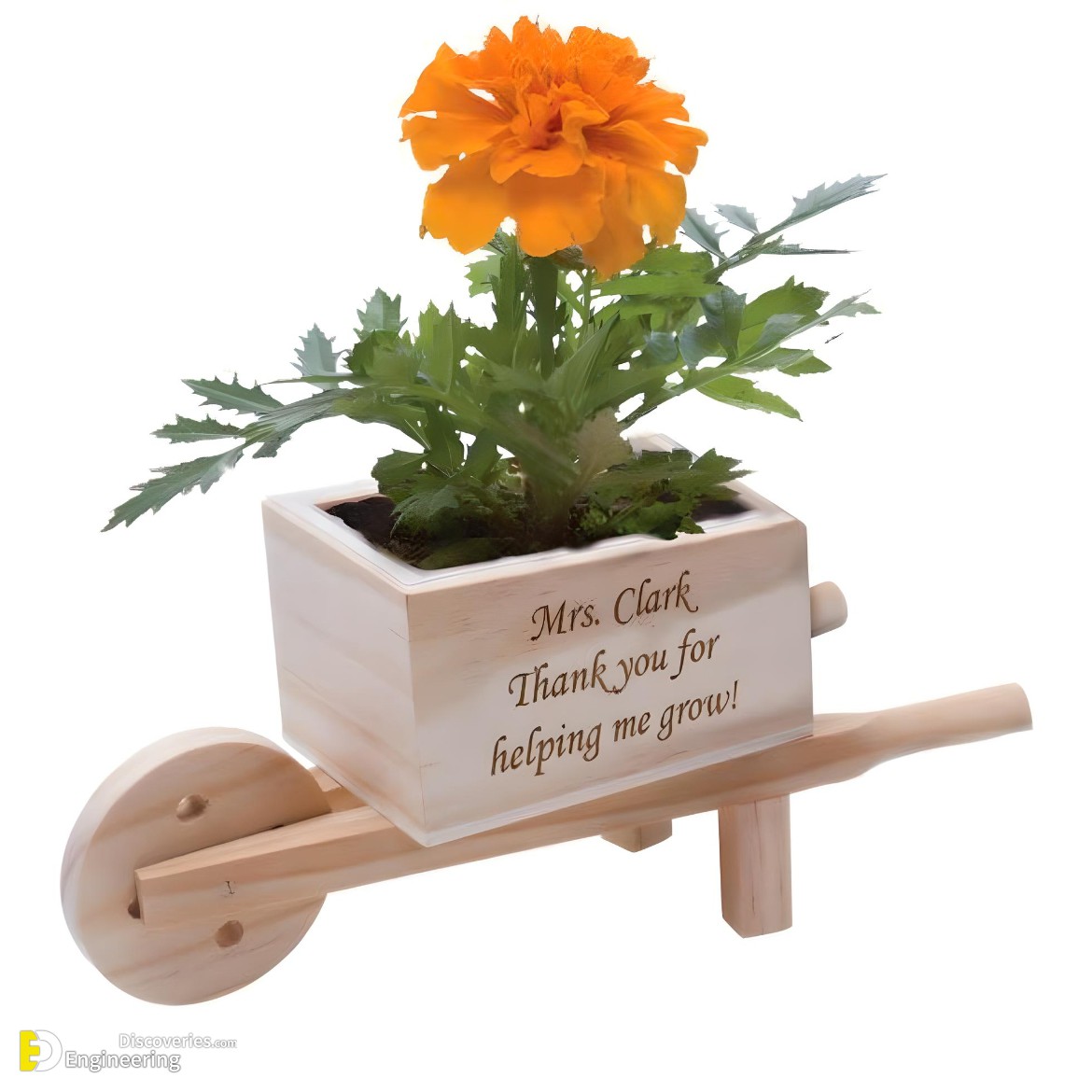 30-engineering-discoveries-amazing-wood-plant-stands-for-indoor-plants.jpg