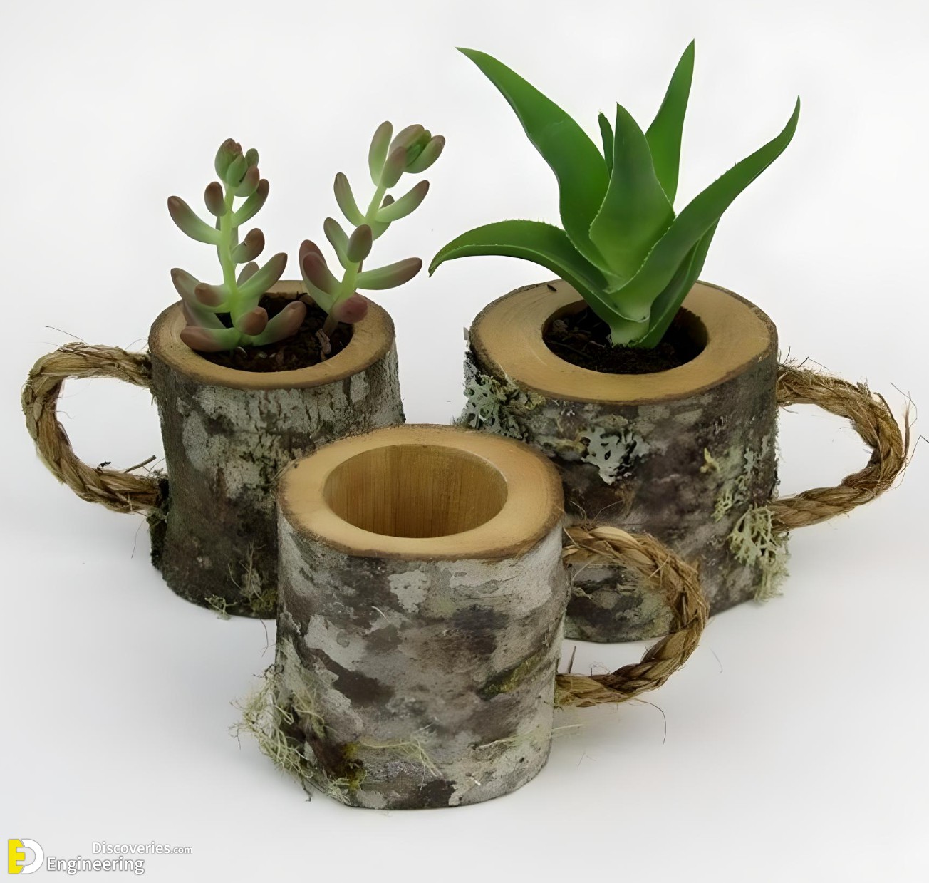 33-engineering-discoveries-amazing-wood-plant-stands-for-indoor-plants.jpg