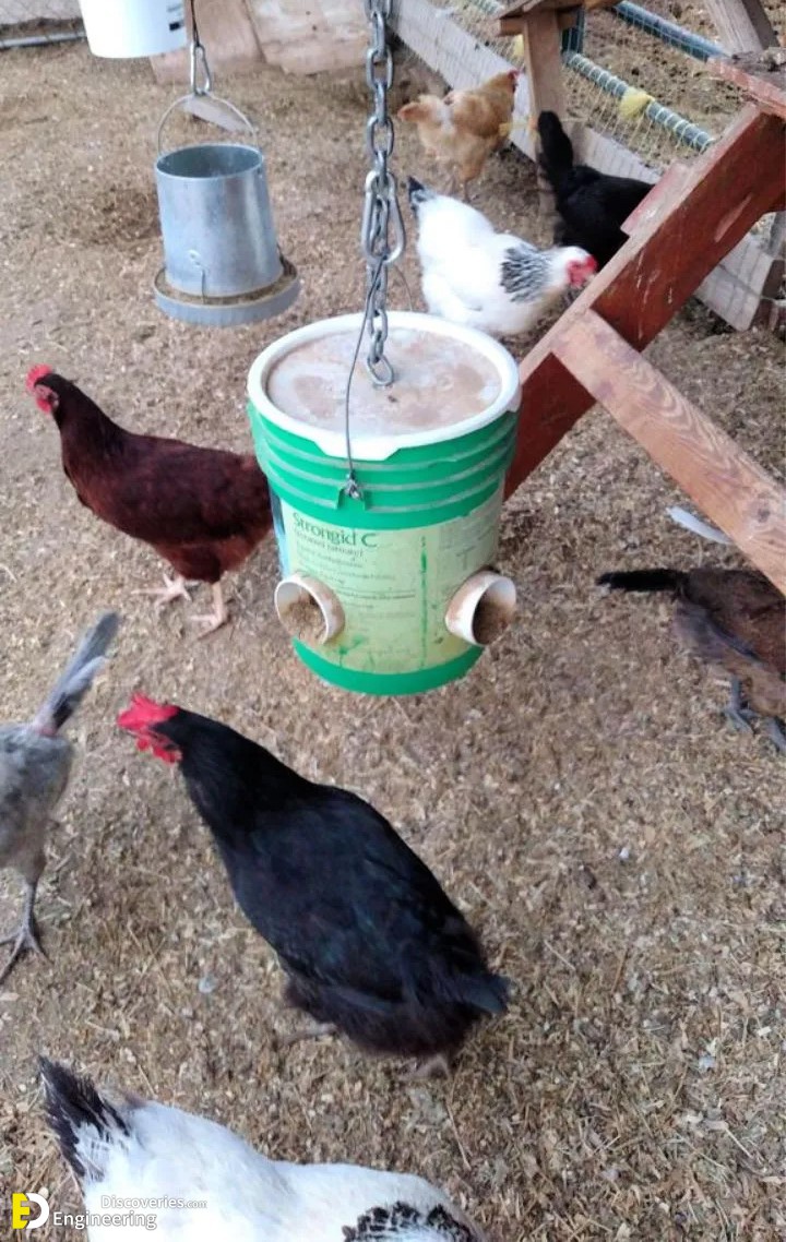 33-engineering-discoveries-diy-pvc-chicken-feeders-an-affordable-and-efficient-chicken-coop-solution.jpg