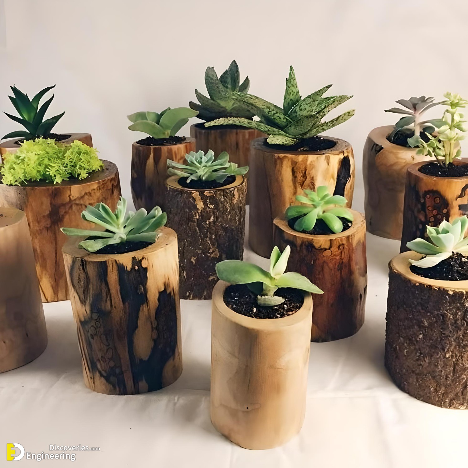35-engineering-discoveries-amazing-wood-plant-stands-for-indoor-plants.jpg