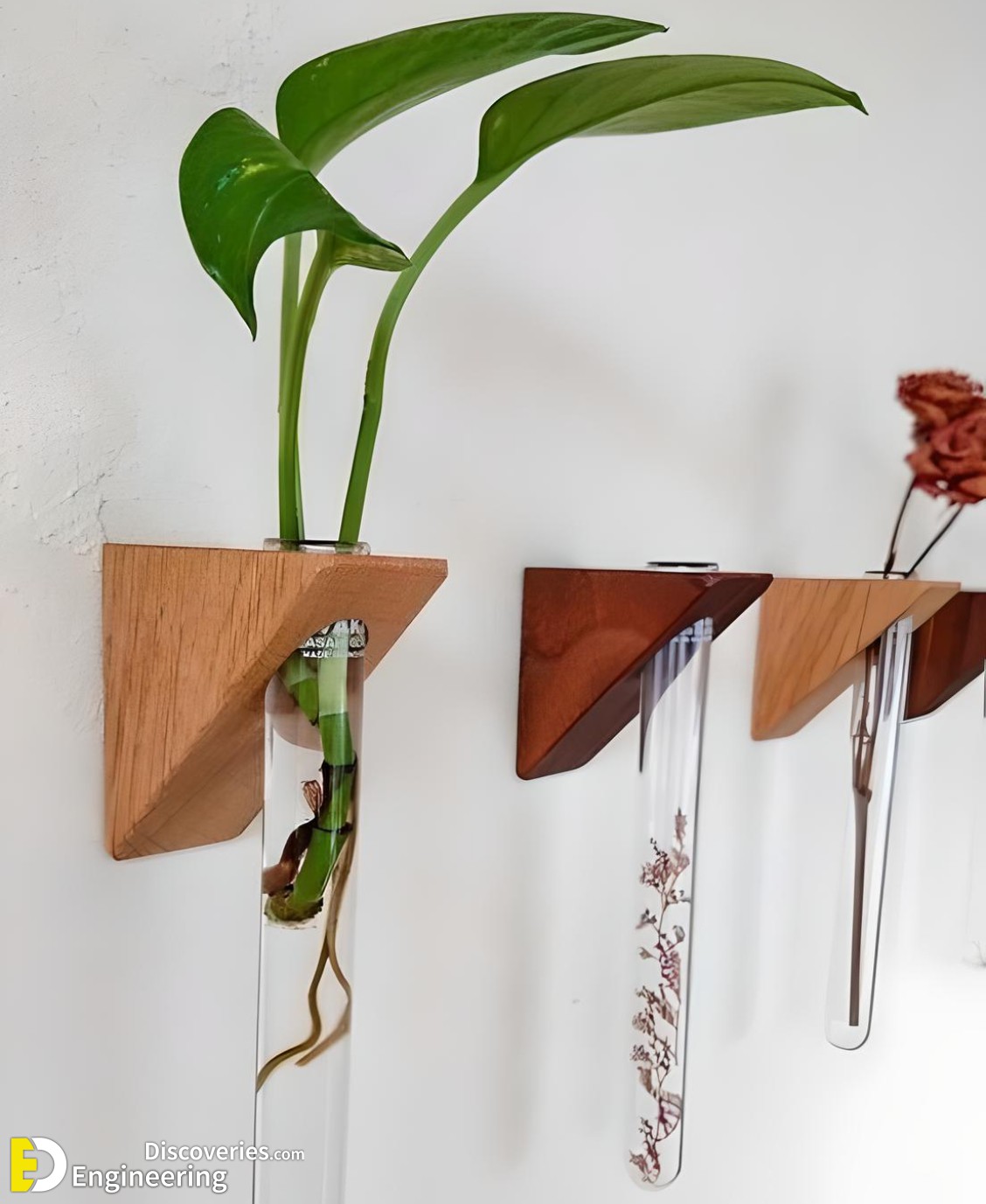 7-engineering-discoveries-amazing-wood-plant-stands-for-indoor-plants.jpg