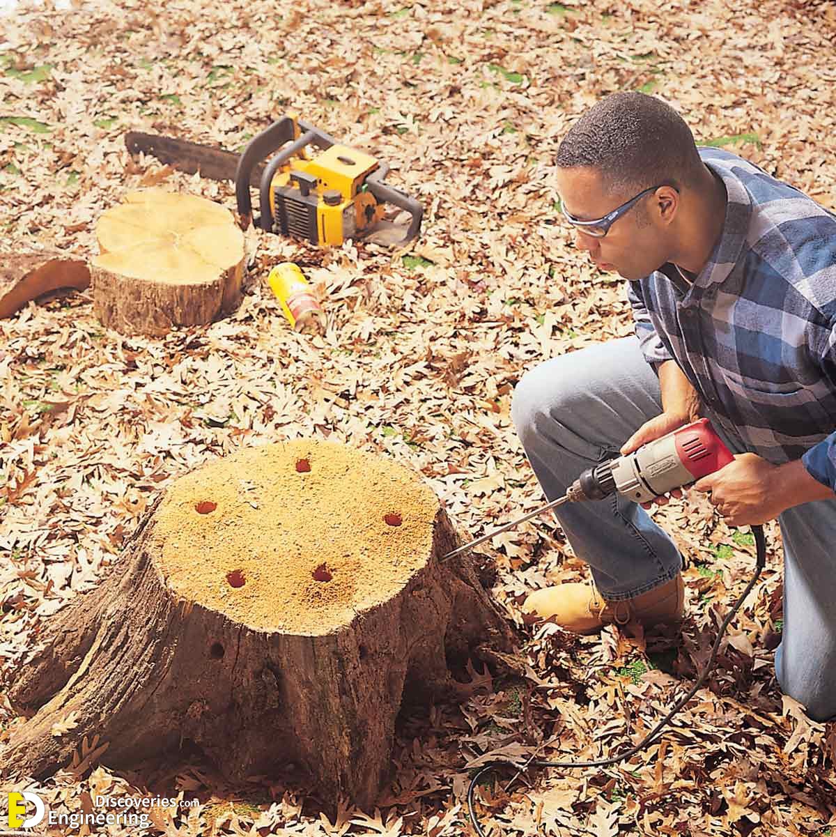 1-engineering-discoveries-4-different-ways-to-remove-a-tree-stump.jpg