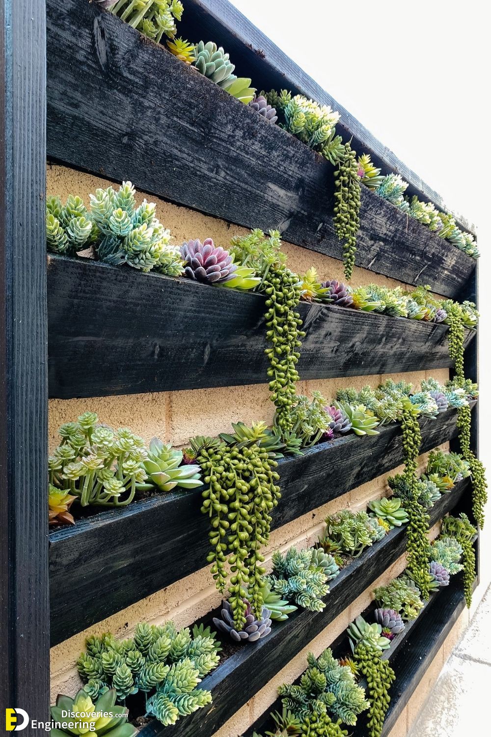 13-engineering-discoveries-272B-creative-ways-to-elevate-your-walls-and-fences.jpg