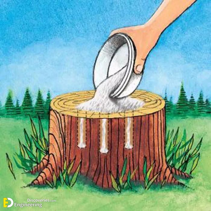 2-engineering-discoveries-4-different-ways-to-remove-a-tree-stump.jpg