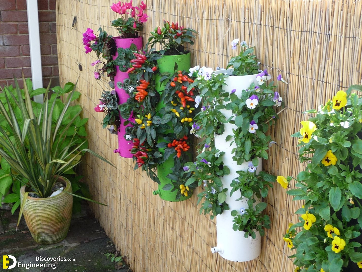 25-engineering-discoveries-272B-creative-ways-to-elevate-your-walls-and-fences.jpg