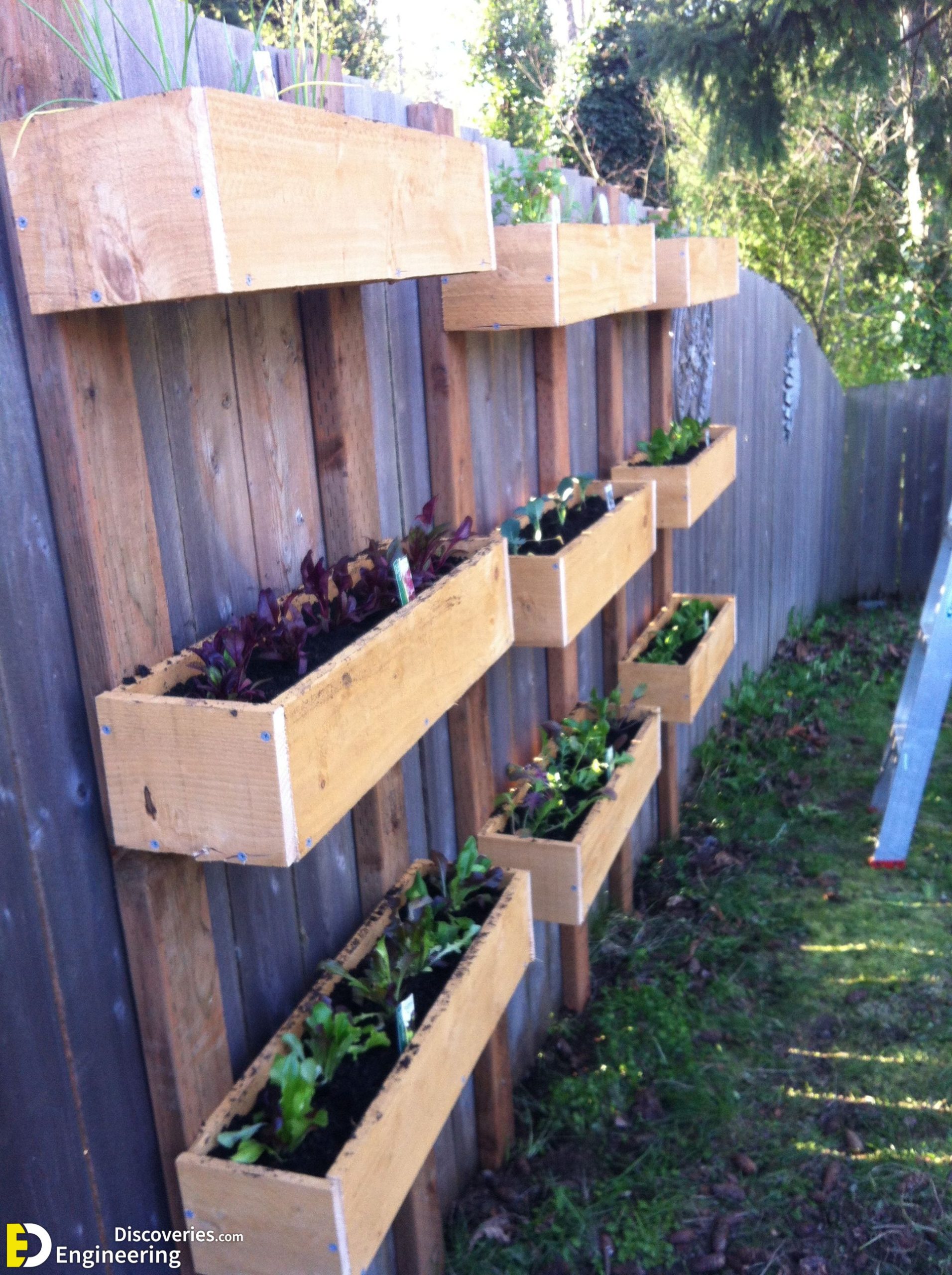 4-engineering-discoveries-272B-creative-ways-to-elevate-your-walls-and-fences-scaled.jpg