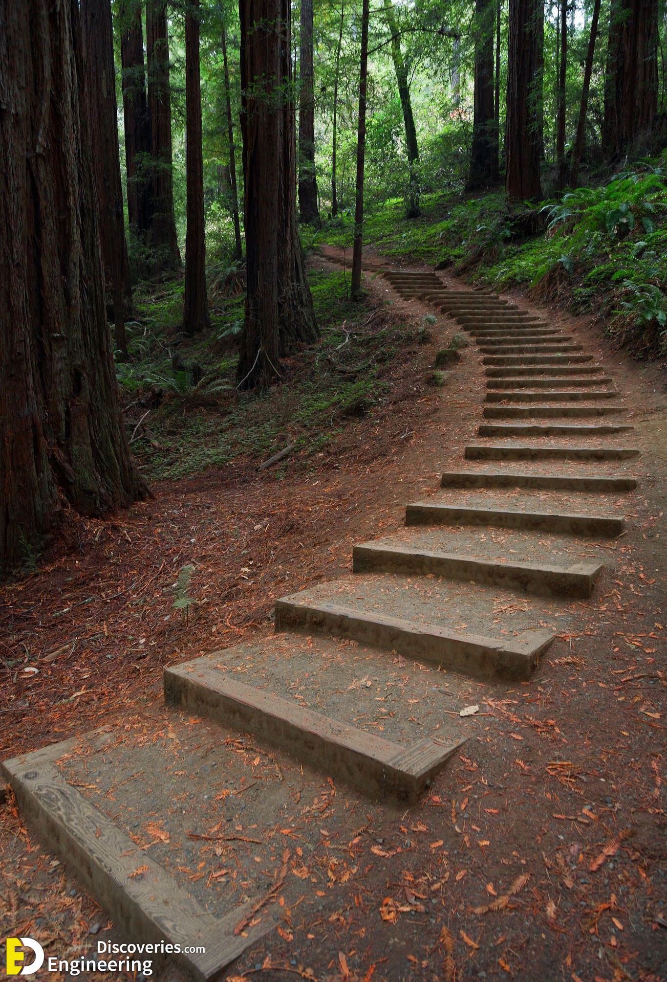 6-engineering-discoveries-unique-ideas-to-create-your-own-steps-in-your-garden.jpg