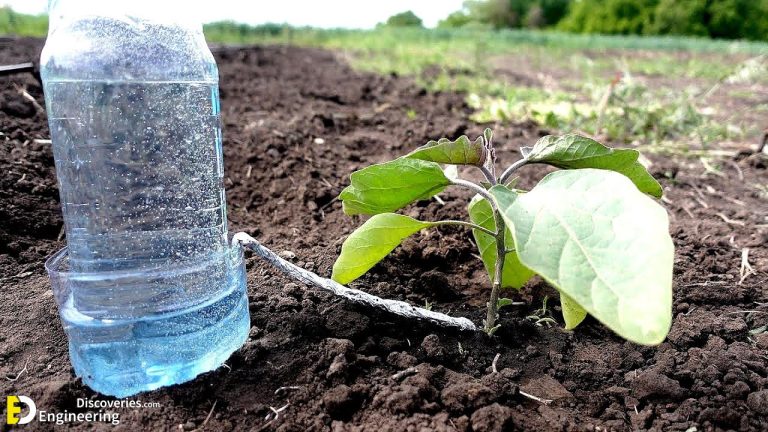 Watering Hacks For Your Garden While You're On Vacation! 