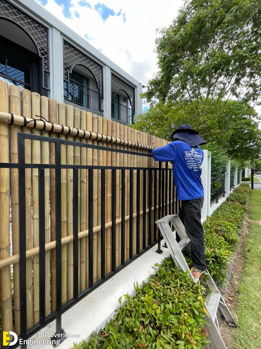 1-engineering-discoveries-discover-37-ingenious-bamboo-fence-ideas-for-your-perfect-retreat.jpg