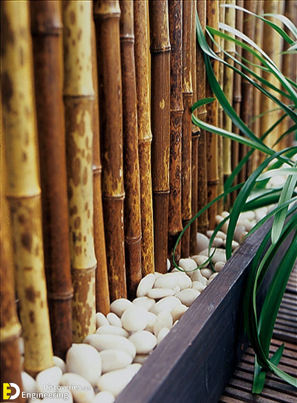 11-engineering-discoveries-discover-37-ingenious-bamboo-fence-ideas-for-your-perfect-retreat.jpg