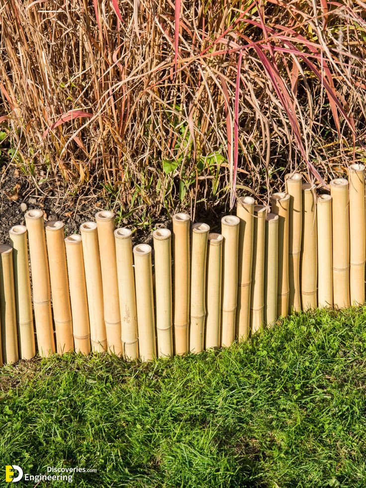 12-engineering-discoveries-discover-37-ingenious-bamboo-fence-ideas-for-your-perfect-retreat.jpg