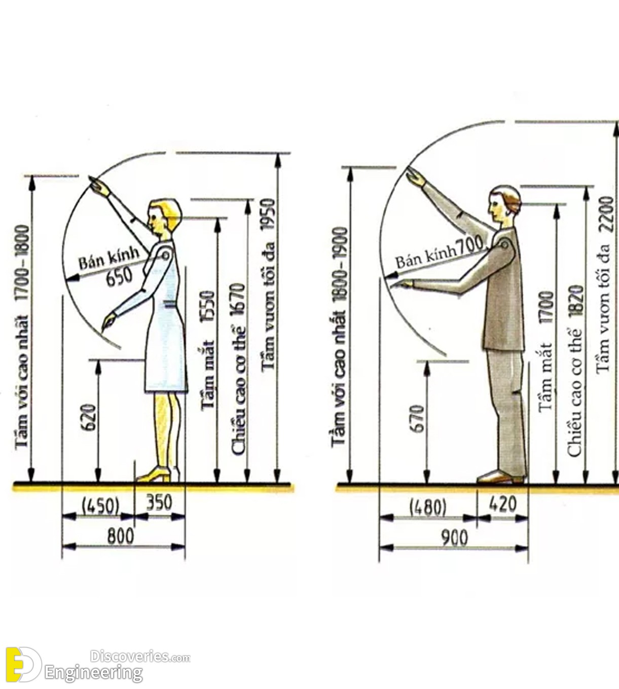 12-engineering-discoveries-principles-of-wooden-furniture-and-interior-design.jpg