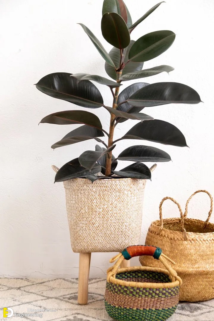 14-engineering-discoveries-attractive-diy-plant-stand-ideas-for-indoor-and-outdoor.jpg