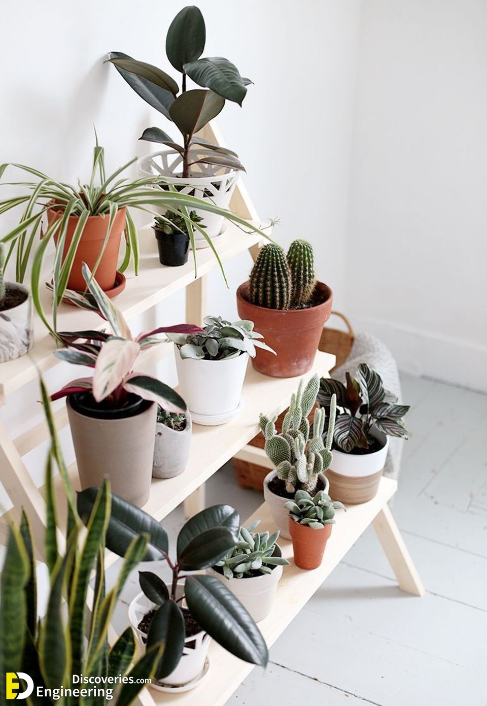15-engineering-discoveries-attractive-diy-plant-stand-ideas-for-indoor-and-outdoor.jpg