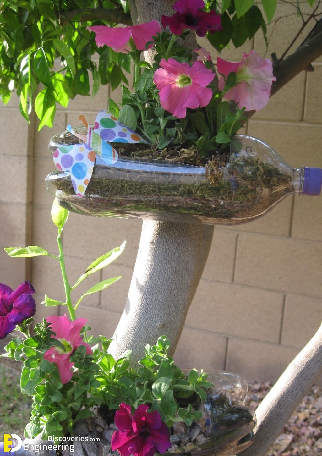 19-engineering-discoveries-45-creative-ways-to-reuse-plastic-bottles-and-boost-your-wallet.jpg