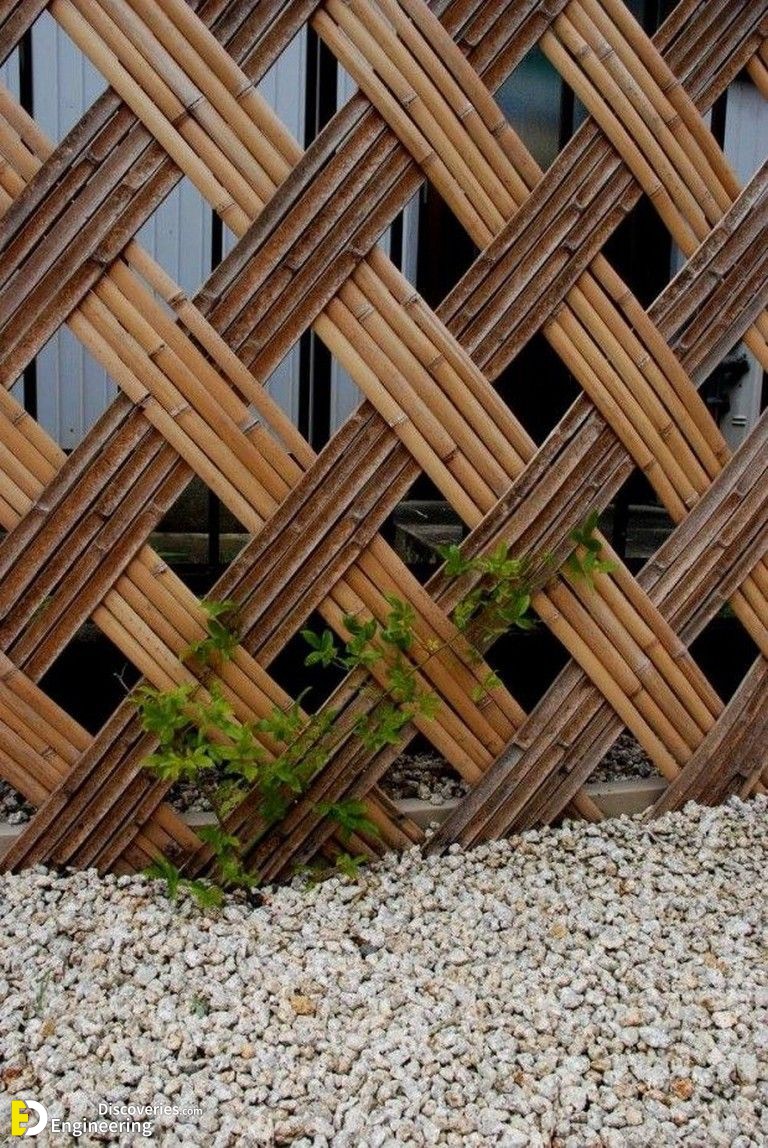 20-engineering-discoveries-discover-37-ingenious-bamboo-fence-ideas-for-your-perfect-retreat.jpg