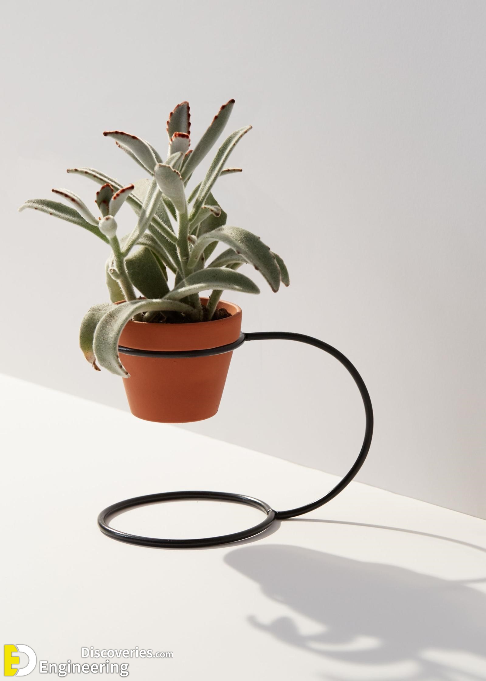 21-engineering-discoveries-attractive-diy-plant-stand-ideas-for-indoor-and-outdoor.jpg