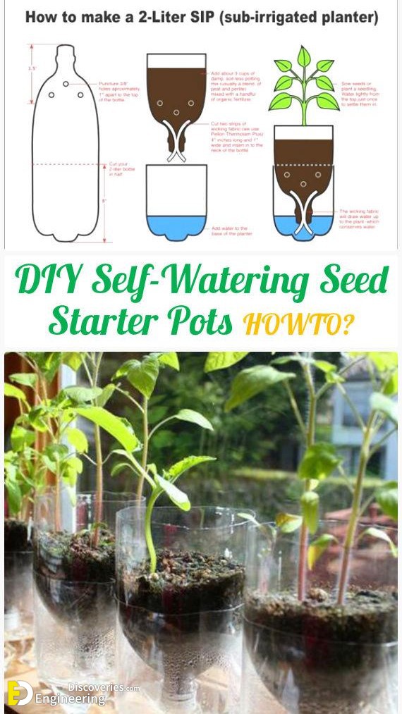 22-engineering-discoveries-45-creative-ways-to-reuse-plastic-bottles-and-boost-your-wallet.jpg