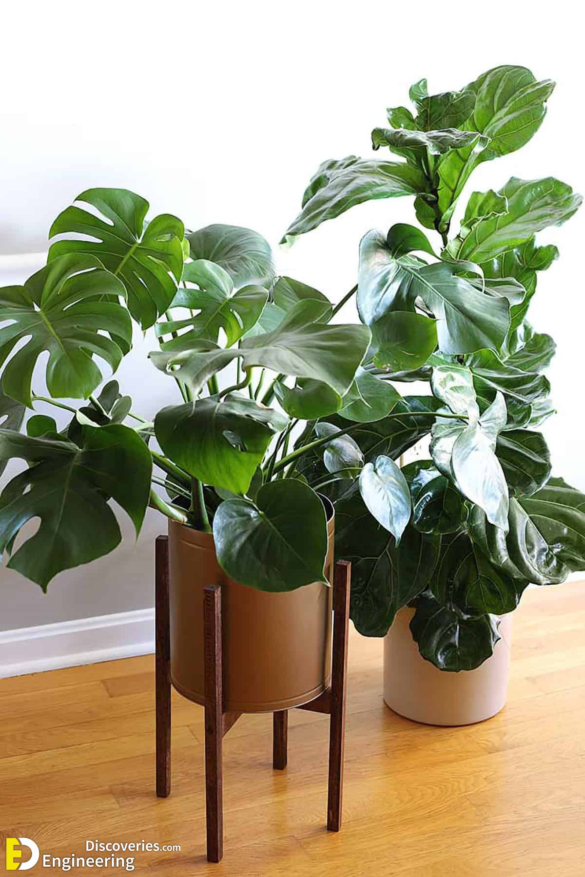22-engineering-discoveries-attractive-diy-plant-stand-ideas-for-indoor-and-outdoor.jpg
