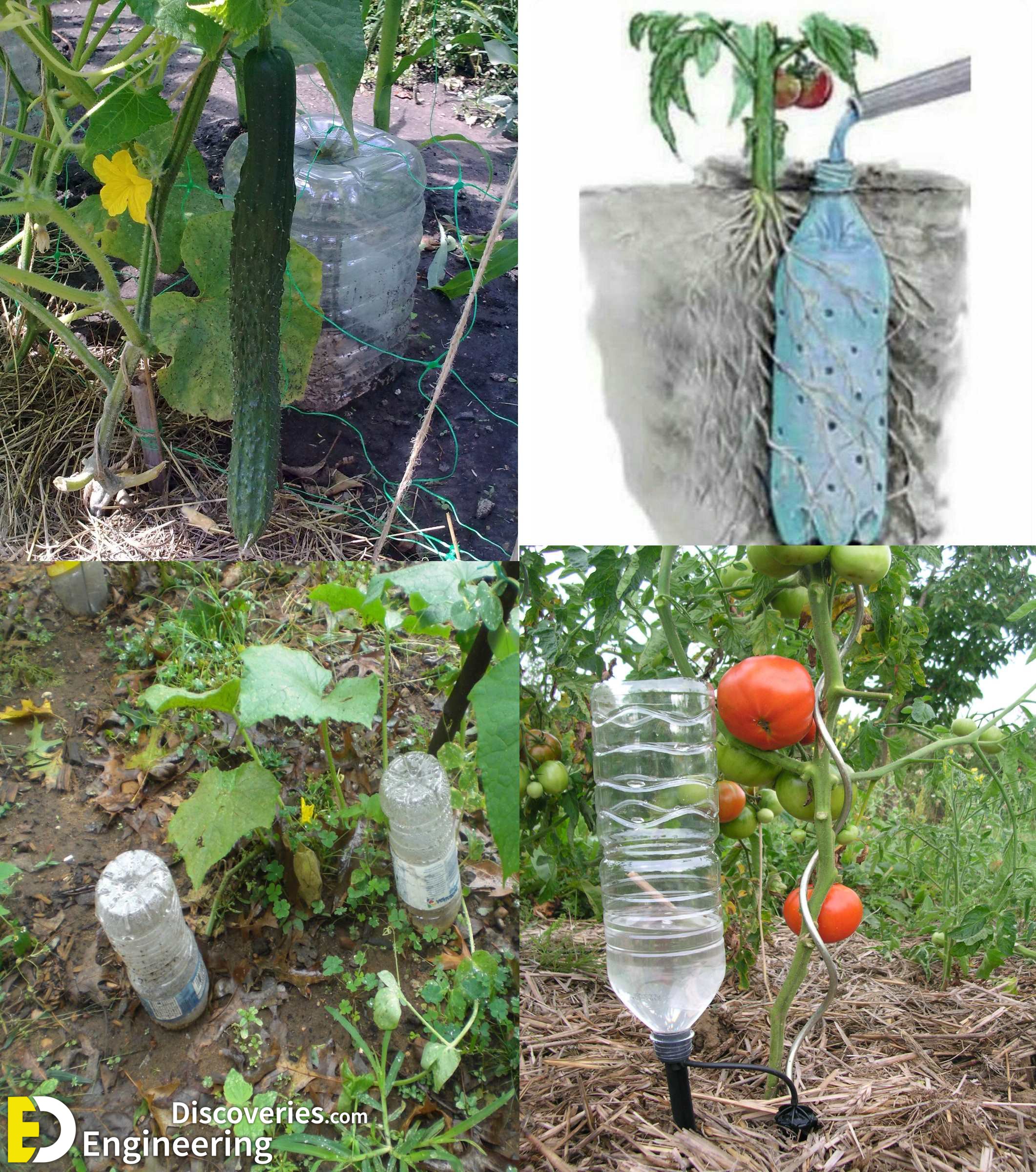 23-engineering-discoveries-45-creative-ways-to-reuse-plastic-bottles-and-boost-your-wallet.jpg