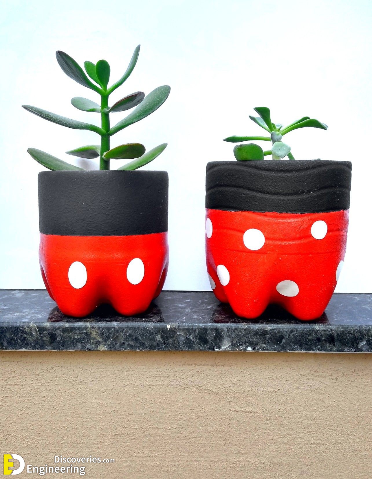 25-engineering-discoveries-45-creative-ways-to-reuse-plastic-bottles-and-boost-your-wallet.jpg
