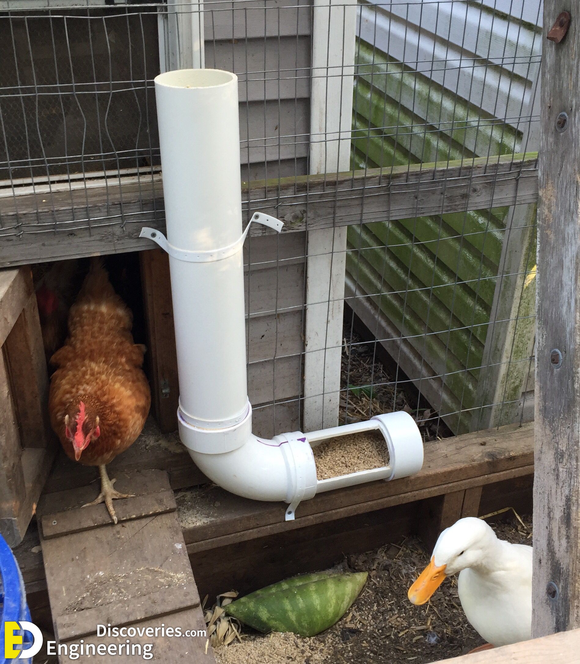 29-engineering-discoveries-35-amazing-pvc-pipe-hacks-for-the-ultimate-feeder.jpg
