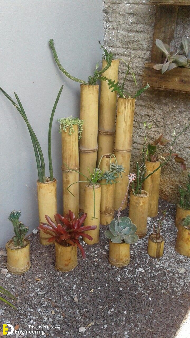 32-engineering-discoveries-452B-attractive-bamboo-projects-you-canand8217t-miss.jpg