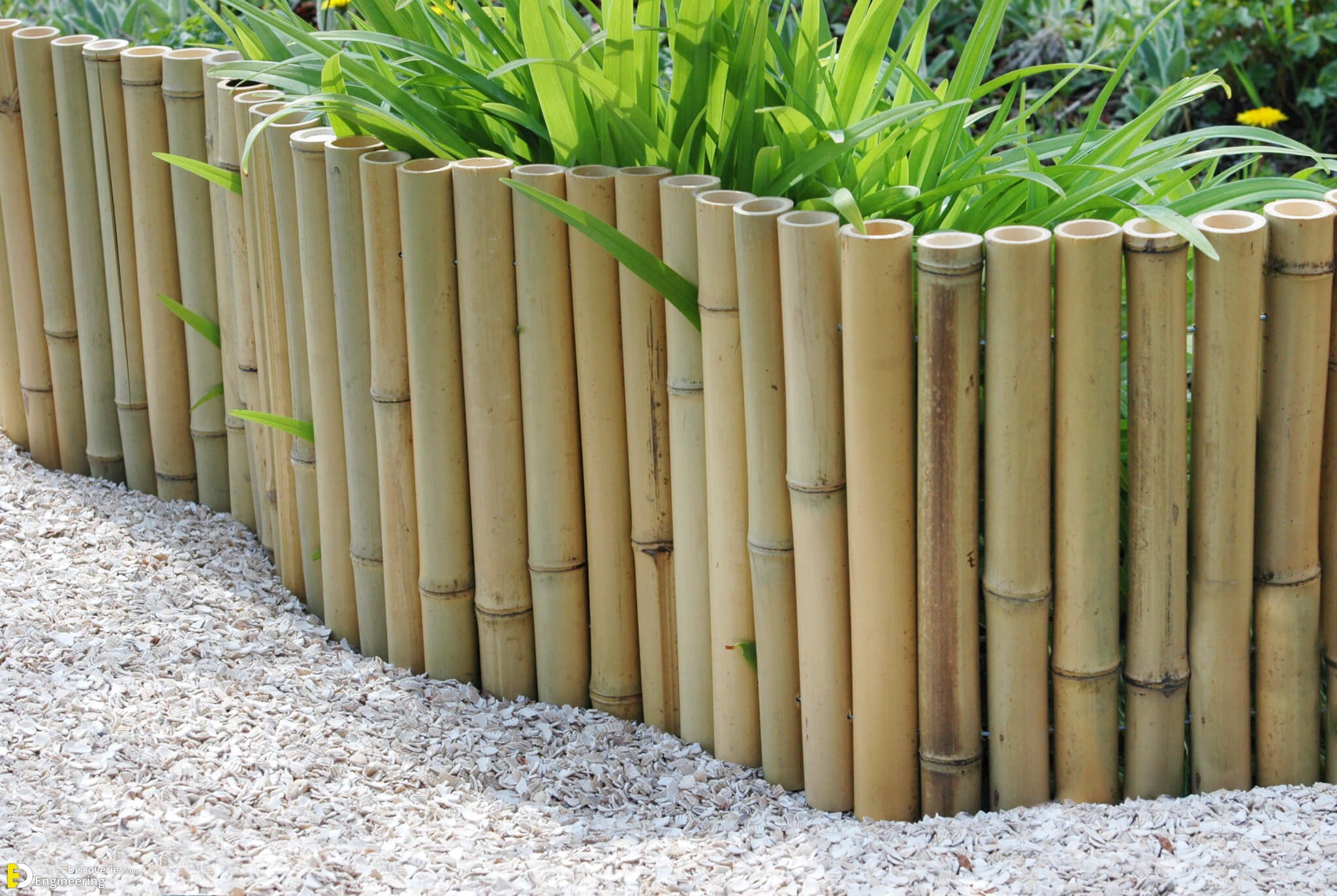 34-engineering-discoveries-discover-37-ingenious-bamboo-fence-ideas-for-your-perfect-retreat.jpg
