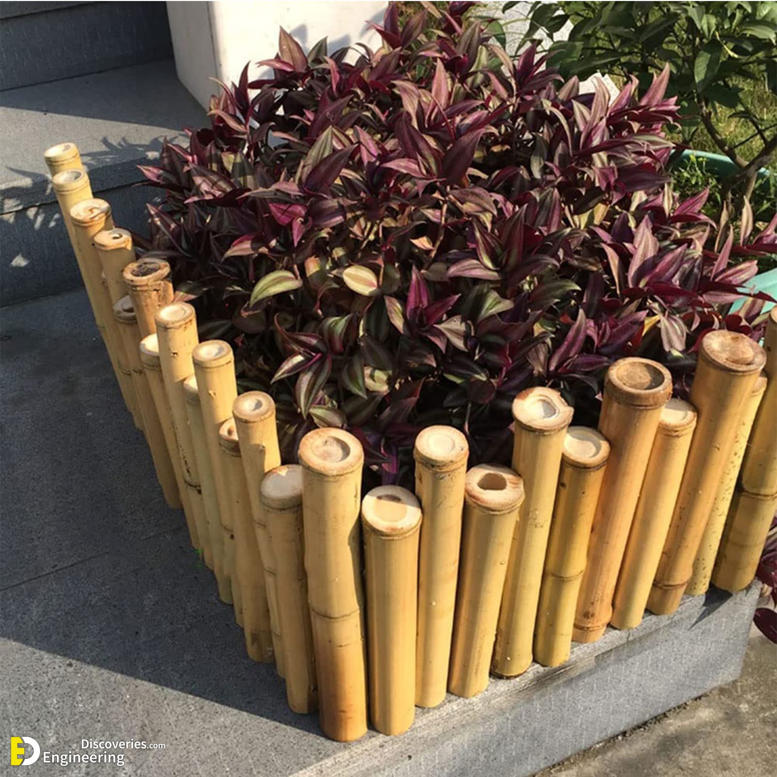 36-engineering-discoveries-discover-37-ingenious-bamboo-fence-ideas-for-your-perfect-retreat.jpg