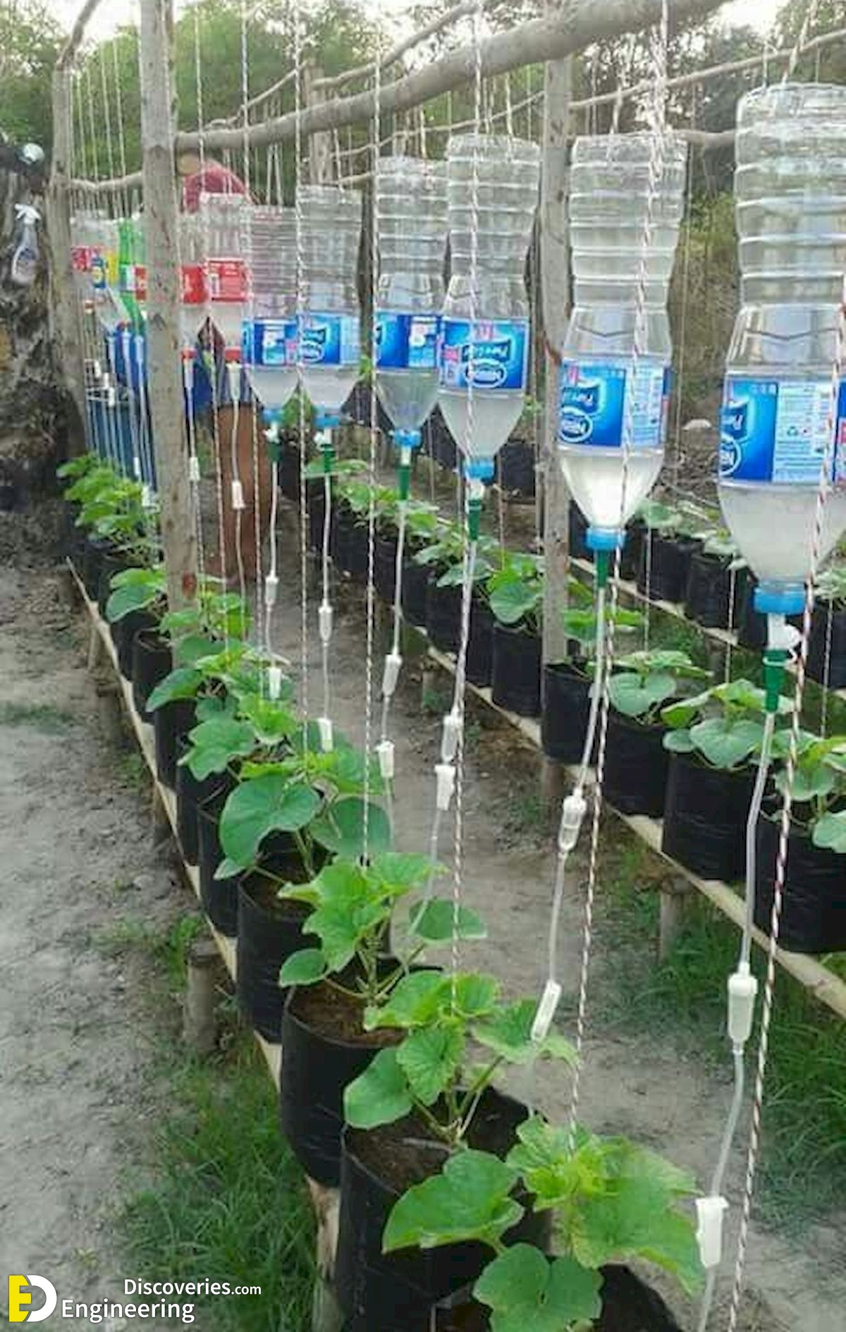 4-engineering-discoveries-45-creative-ways-to-reuse-plastic-bottles-and-boost-your-wallet.jpg