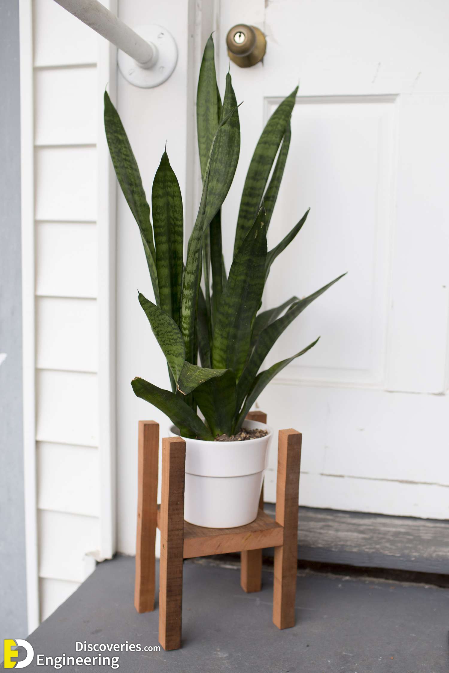 4-engineering-discoveries-attractive-diy-plant-stand-ideas-for-indoor-and-outdoor.jpg