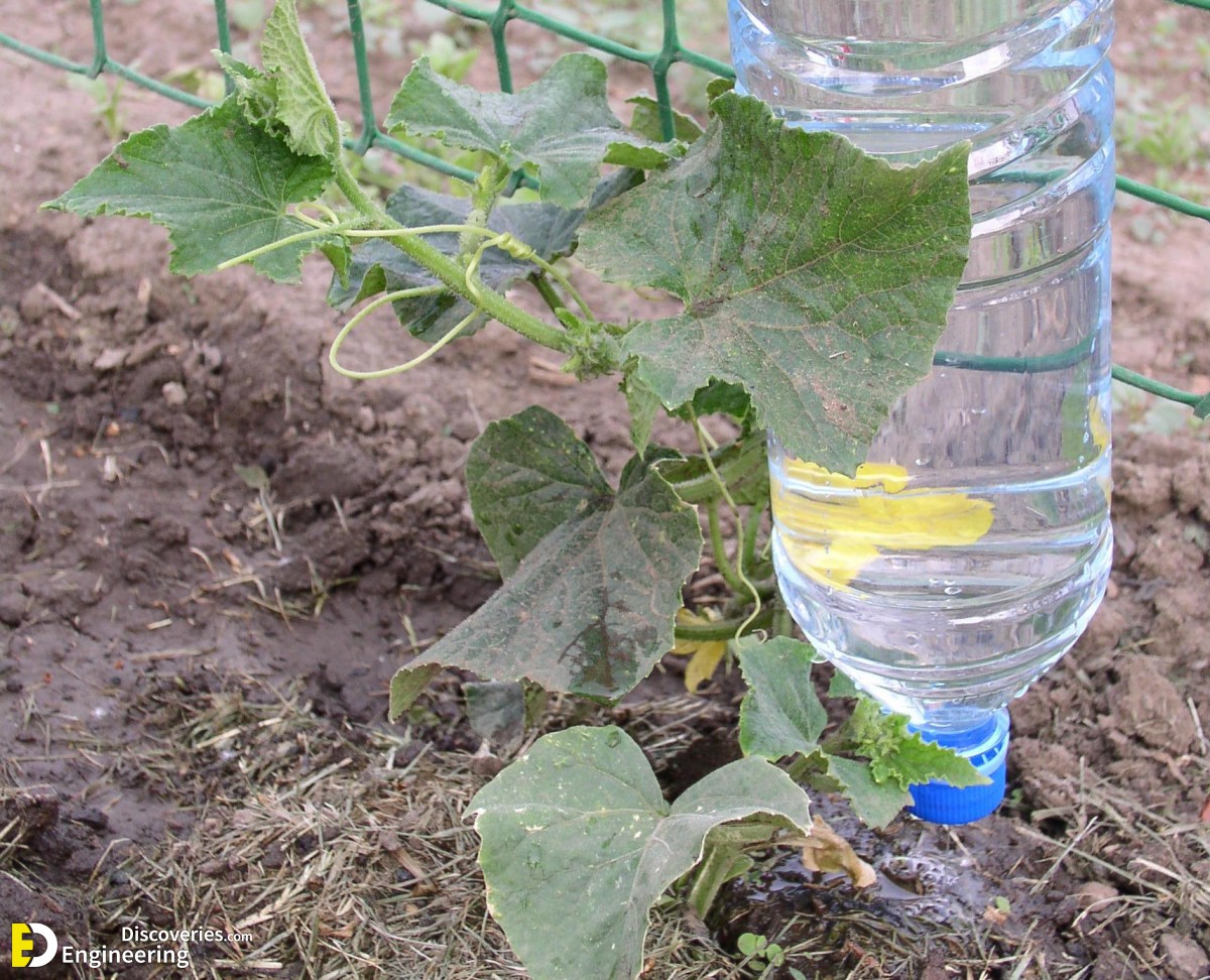 43-engineering-discoveries-45-creative-ways-to-reuse-plastic-bottles-and-boost-your-wallet.jpg