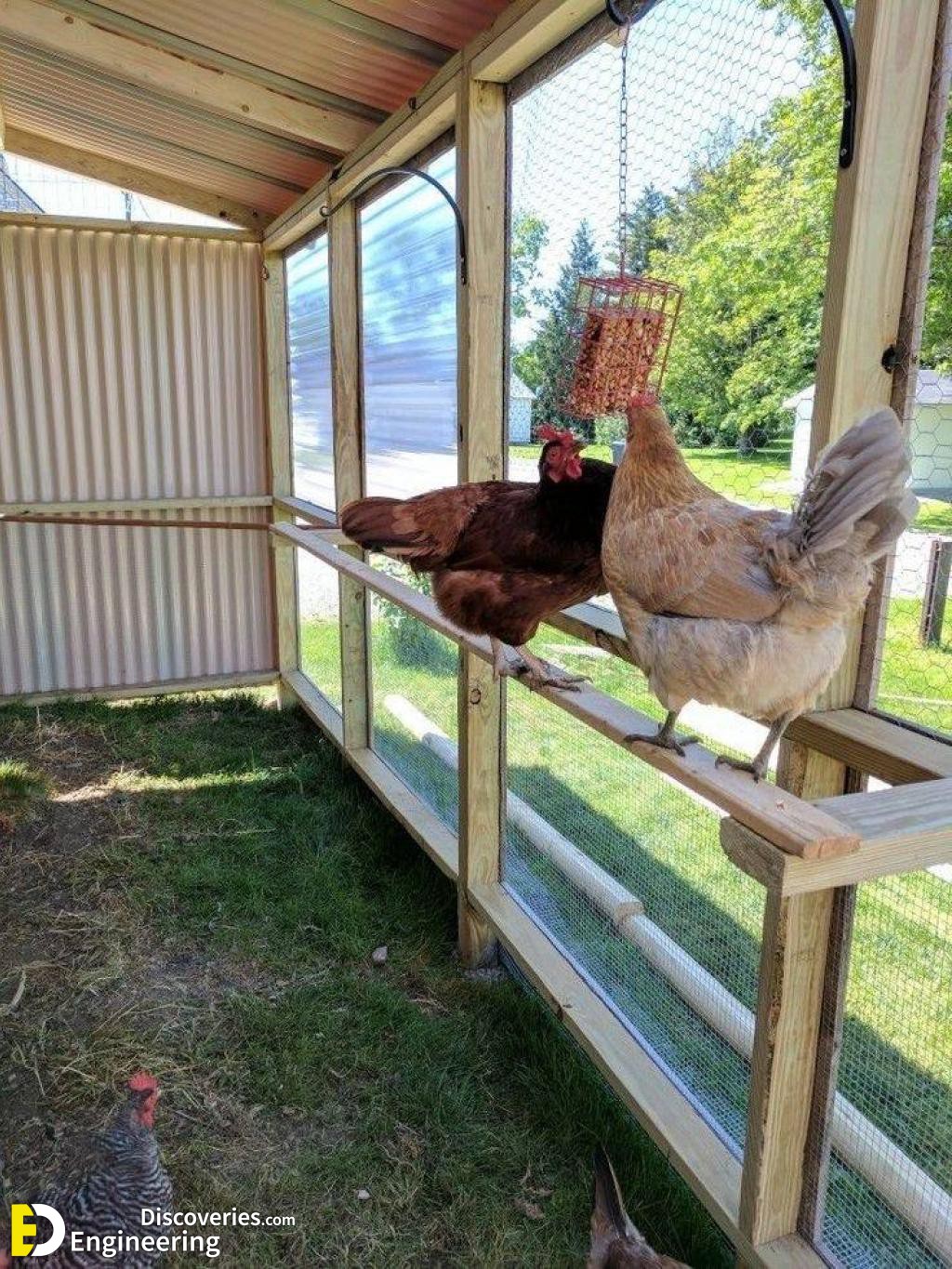 13-engineering-discoveries-diy-chicken-coop-plans-you-can-build-easy.jpg