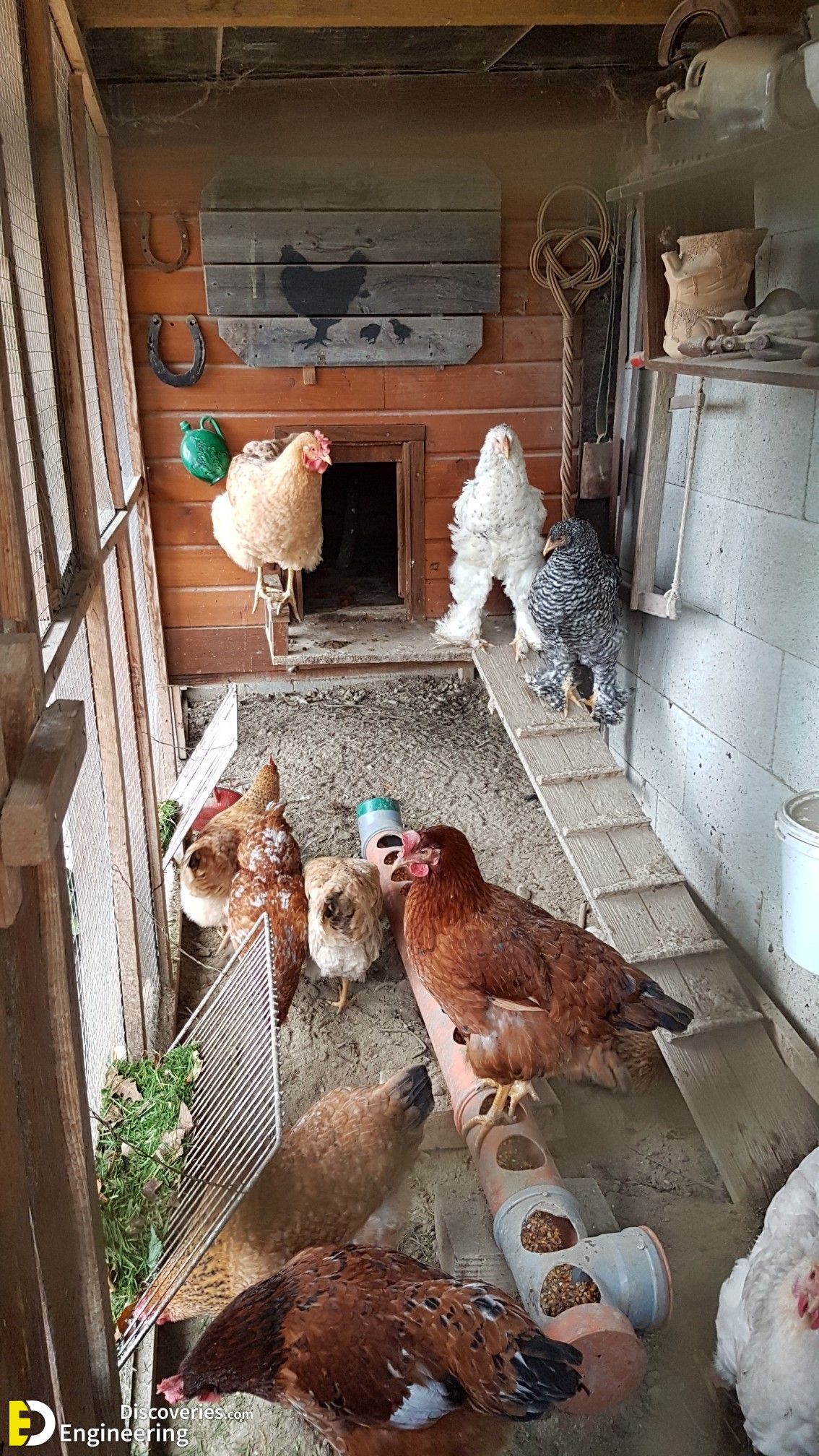 17-engineering-discoveries-diy-chicken-coop-plans-you-can-build-easy.jpg