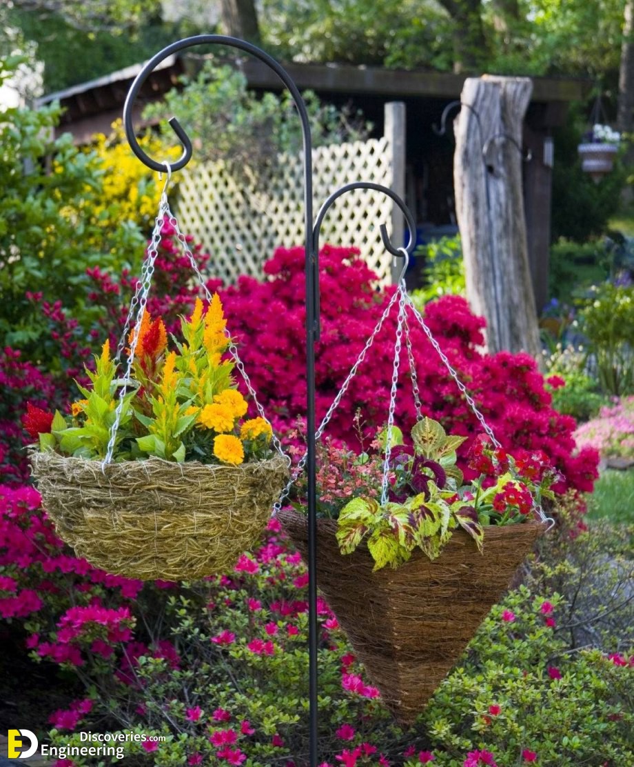 18-engineering-discoveries-genius-vertical-garden-ideas-to-make-the-most-of-limited-space.jpg