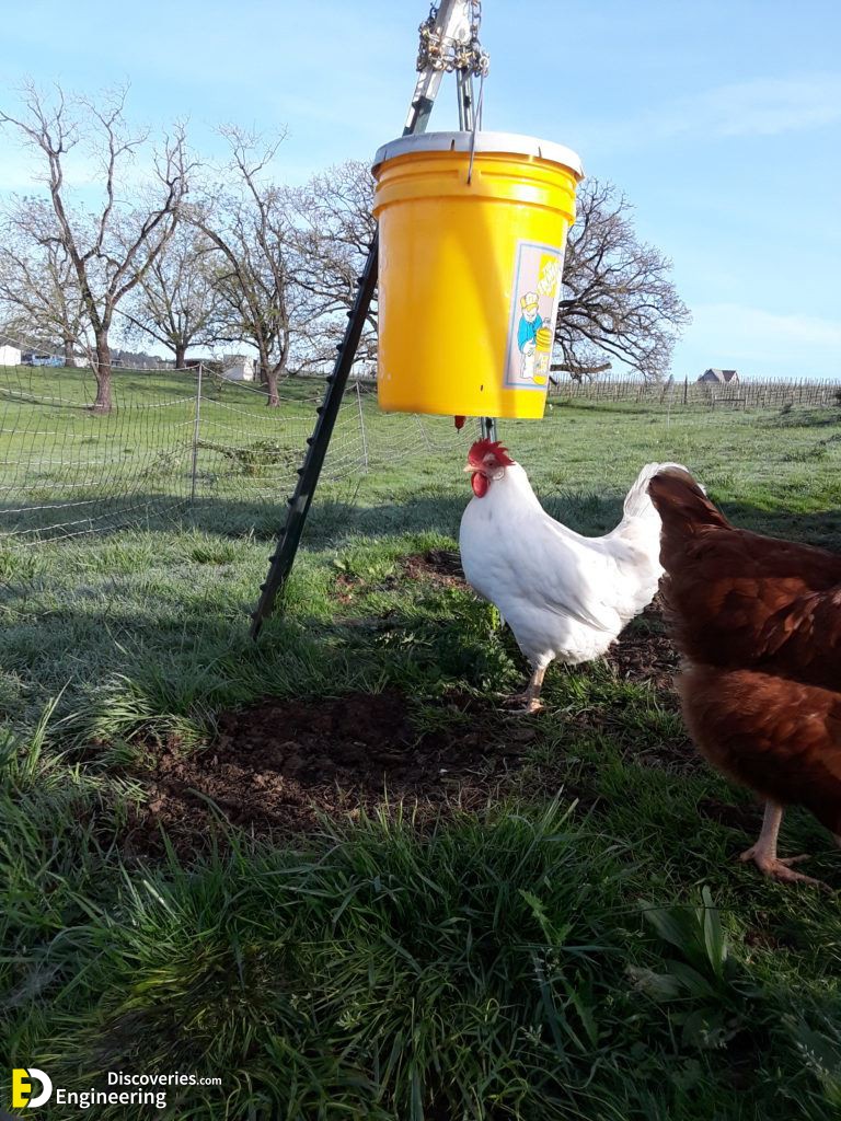 2-engineering-discoveries-diy-chicken-coop-plans-you-can-build-easy.jpg